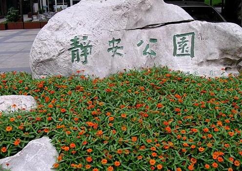 上海公园排行榜：黄浦公园/人民公园/复兴公园/中山公园/静安公园/鲁迅公园/闵行体育公园/长风公园/陆家嘴中心绿地/襄阳