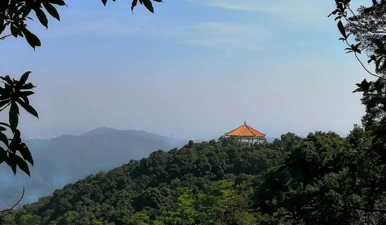 广州市区较高峰：帽峰山森林公园