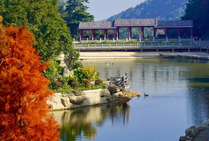 广州市区较高峰：帽峰山森林公园