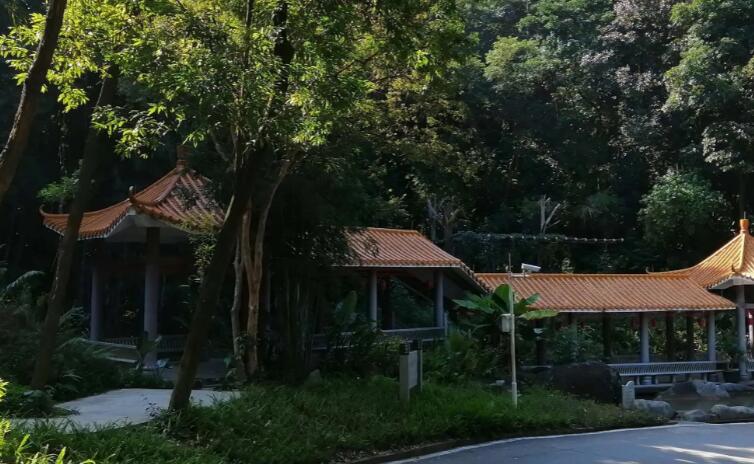 广州市区较高峰：帽峰山森林公园