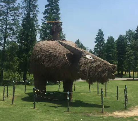 上海虹桥高铁站周边景点：上海动物园/上海植物园/上海古猗园/汇龙潭公园/世纪公园/曲水园/顾村公园/上海共青森林公园/上