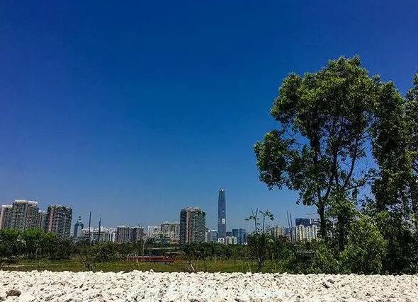 深圳旅游必去十大景点：深圳湾公园/大梅沙/梧桐山/莲花山公园/仙湖植物园/深圳人才公园/海上世界/欢乐港湾/甘坑客家小镇