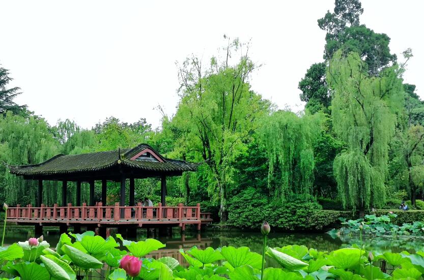 郫县附近有什么好玩的地方推荐：三道堰景区/农科村景区/战旗村景区/青杠树景区/望丛祠景区/成都川菜博物馆景区/中国川菜体验园/蜀国鹃都/成都世界乐园景区/天府玫瑰谷景区/大成殿