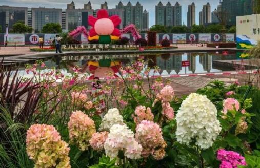 成都周边最佳半日游景点： 锦江区三圣花乡/龙泉桃花故里/郫县农科村/都江堰青城山镇红阳猕猴桃基地/龙泉洛带古镇/都江堰泰安古镇/大邑安仁古镇/黄龙溪古镇/温江花博会/蒲江石象湖/大邑西岭雪山/崇州九龙沟/都江堰青城山