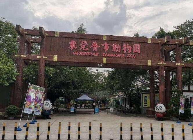东莞旅游必去十大景点：东莞可园/东莞虎门沙角炮台/东莞粤晖园(国家4A级景区)/东莞状元笔公园(国家4A级景区)/东莞观音山森林公园(国家4A级景区)/东莞莲花山郊野公园(国家4A级景区）/东莞香市动物园/东莞水濂山森林公园/东莞同沙生态公园/东莞黄旗山旗峰公园