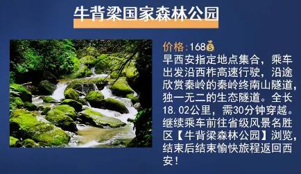 西安周边游：白鹿原二虎守长安/九龙山玻璃栈道/翠华山天池/南五台登山/大水川灵宝峡