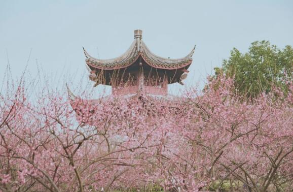 杭州良渚景点有哪些：良渚公园/安溪瑶山遗址/良渚博物院/良渚古城遗址公园/东明山森林公园
