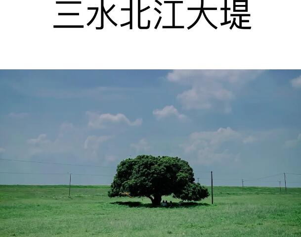 佛山旅游必去十大景点推荐(佛山旅游必去十大景点推荐理由)