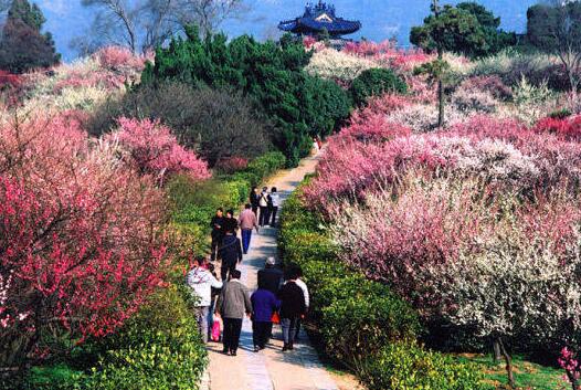 南京旅游景点排名前十：明孝陵/夫子庙/中山陵/玄武湖/总统府