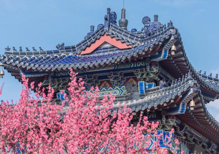 南京梅花山最佳赏梅时间：每年2月中旬到3月初