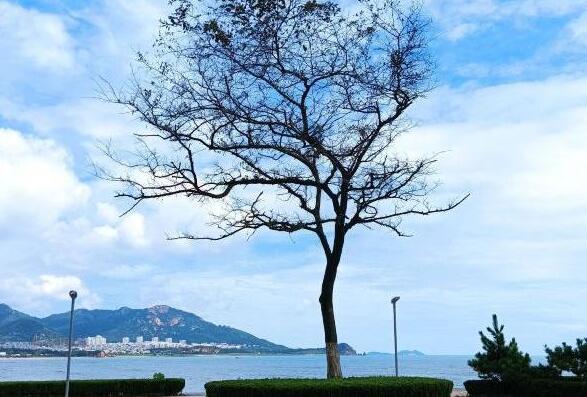 青岛旅游看海必去景点：八大关/鲁迅公园/石老人海水浴场/小鱼山公园/信号山公园