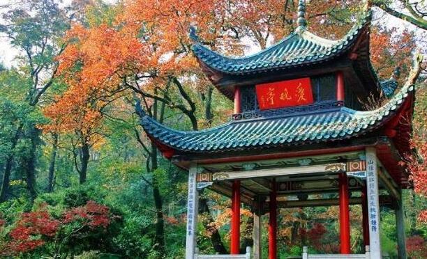 长沙旅游必去十大景点推荐(长沙旅游必去十大景点推荐理由)