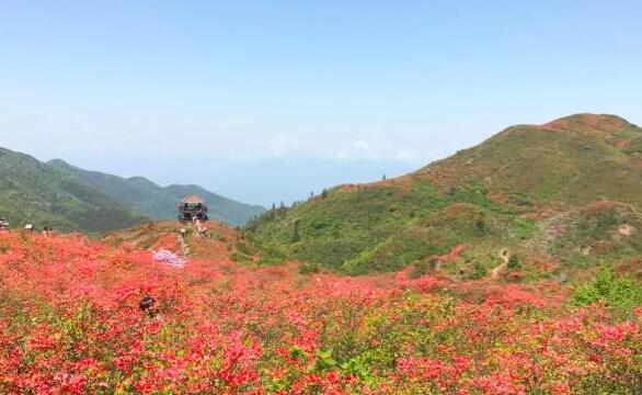 长沙旅游必去十大景点推荐(长沙旅游必去十大景点推荐理由)
