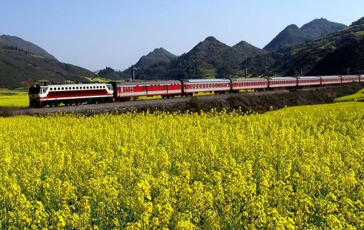 哈尔滨旅游专列怎么买票：去具有相关资质的旅行社购买