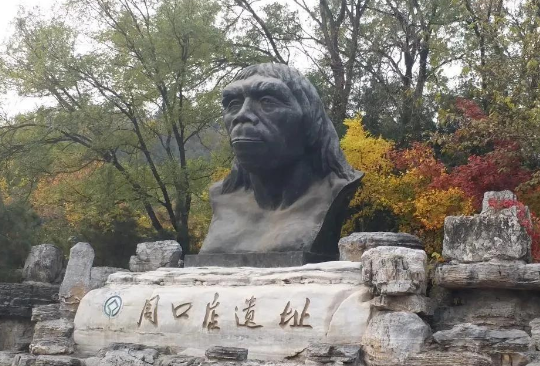 北京旅游必去十大景点推荐(北京旅游必去十大景点推荐理由)