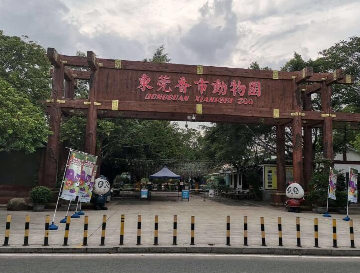 东莞旅游必去十大景点推荐(东莞旅游必去十大景点)