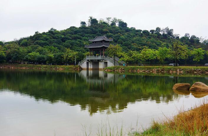 东莞旅游必去十大景点推荐(东莞旅游必去十大景点)