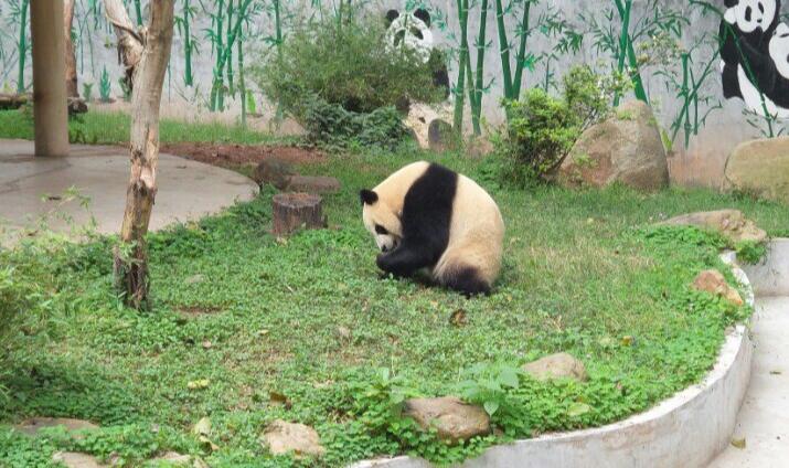 中国7大超大城市旅游必去十大景点推荐（北京,上海,广州,深圳,重庆,天津,成都）