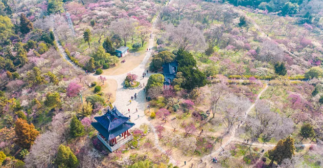 南京旅游必去十大景点推荐(南京旅游必去十大景点推荐图片)