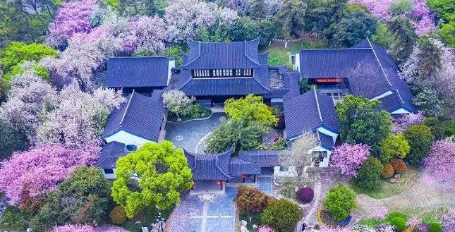 南京旅游必去十大景点推荐(南京旅游必去十大景点推荐图片)