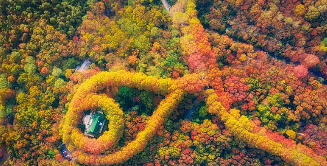 南京旅游必去十大景点推荐(南京旅游必去十大景点推荐图片)