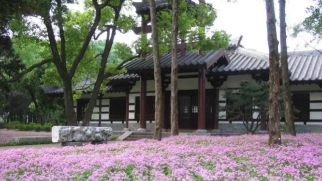合肥旅游必去十大景点推荐(安徽合肥旅游必去十大景点推荐)