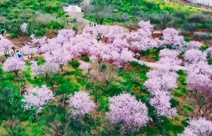 14个Ⅰ型大城市旅游必去十大景点推荐