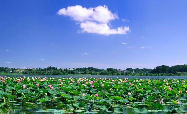 保定旅游必去十大景点推荐(河北保定旅游必去十大景点)