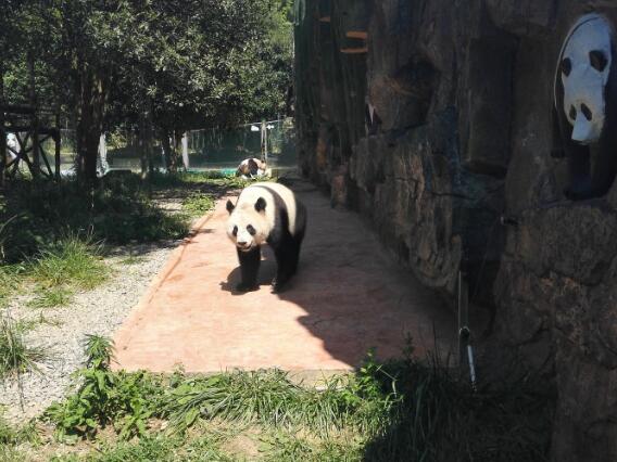 贵阳旅游必去十大景点推荐(贵阳旅游必去十大景点)