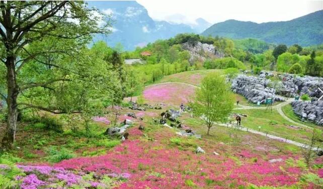 绵阳旅游必去十大景点推荐(绵阳旅游十大景点)