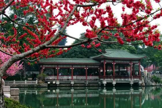 泉州旅游必去十大景点推荐(福建泉州旅游必去十大景点推荐有哪些)