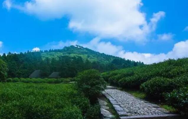 台州旅游必去十大景点推荐(浙江台州旅游必去十大景点)