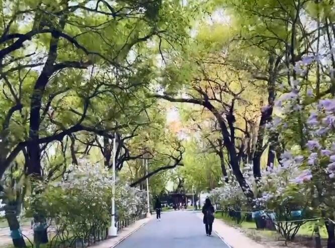 大庆旅游必去十大景点推荐(大庆旅游必去的景点)