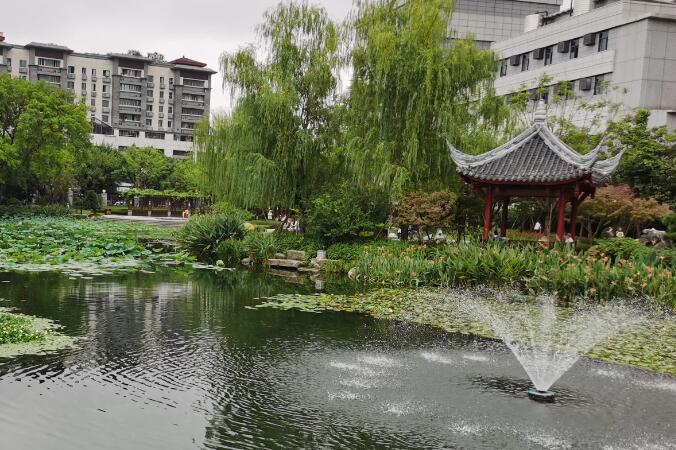 南充旅游必去十大景点推荐(南充旅游景点有哪些地方)