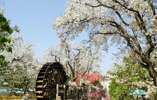 兰州旅游必去十大景点推荐(兰州必去的旅游景点) 兰州旅游必去十大景点推荐(兰州必去的旅游景点)