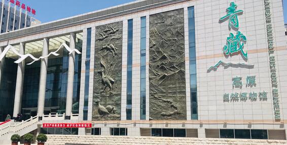 西宁旅游必去十大景点推荐(西宁旅游必去景点推荐)