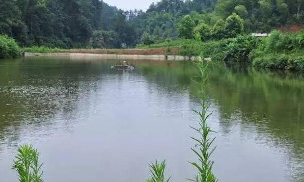 株洲旅游必去十大景点推荐(株洲旅游十大必去景区)