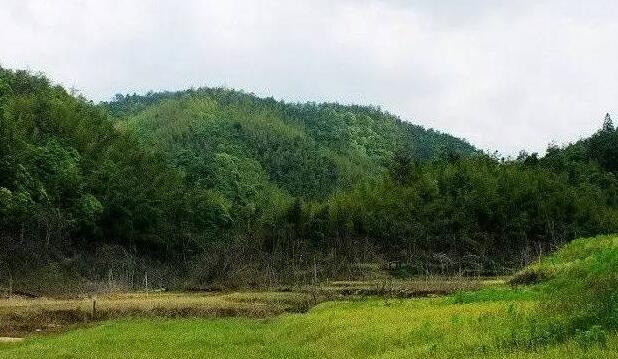 株洲旅游必去十大景点推荐(株洲旅游十大必去景区)