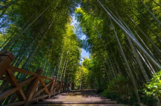 衡阳旅游必去十大景点推荐（湖南省衡阳市必去旅游景点）