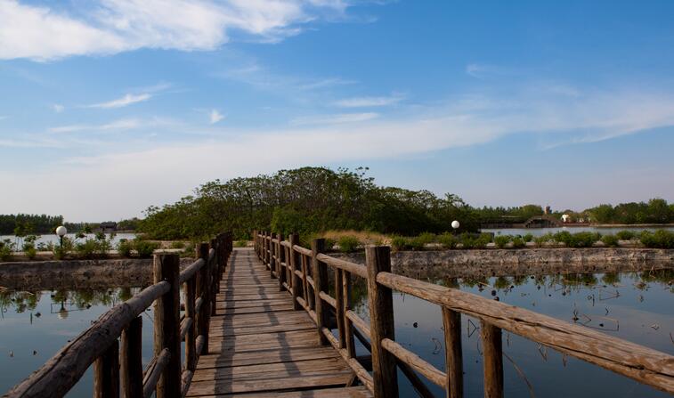 14、天津·宁河区十大旅游景点