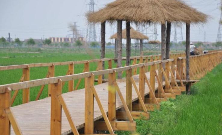 10、天津·津南区十大旅游景点