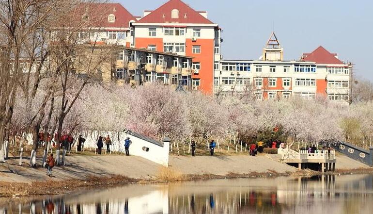 7、天津·红桥区十大旅游景点