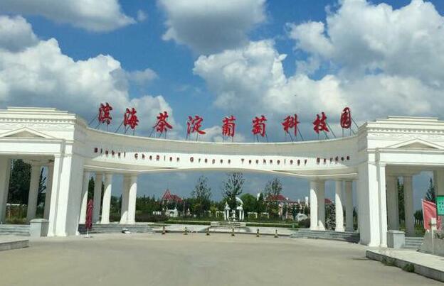 2、天津·滨海新区十大旅游景点