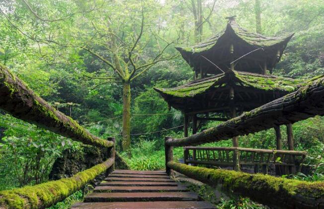 青城山简介，青城山旅游攻略
